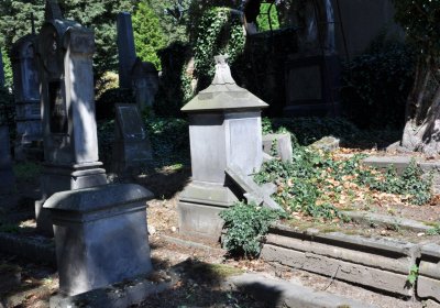 Litoměřice městský, Omnium, 2020