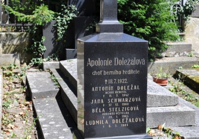 Litoměřice městský, Omnium, 2020