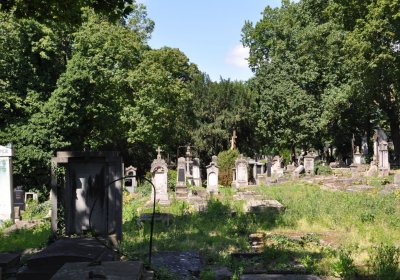 Litoměřice městský, Omnium, 2020