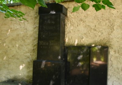 Litoměřice městský, Omnium, 2020