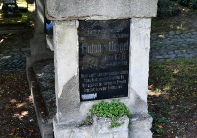 Litoměřice městský, Omnium, 2020