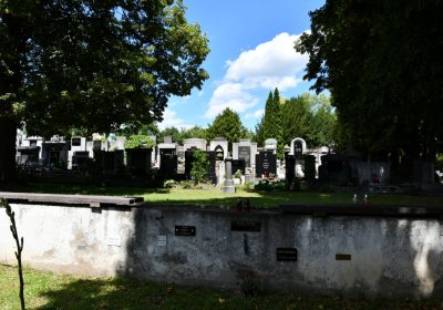 Litoměřice městský, Omnium, 2020