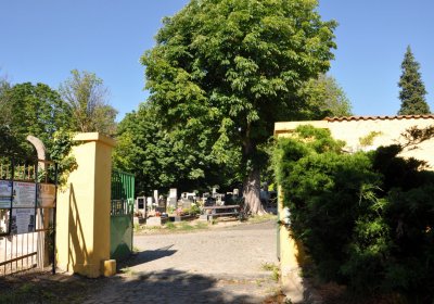 Litoměřice městský, Omnium, 2020
