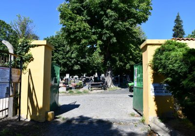 Litoměřice městský, Omnium, 2020