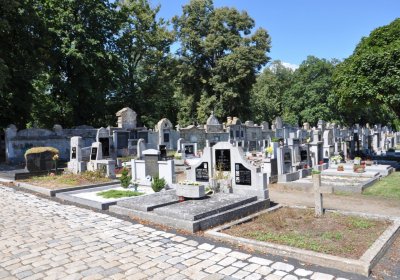 Lovosice městský hřbitov, Omnium, 2020