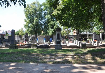 Lovosice městský hřbitov, Omnium, 2020