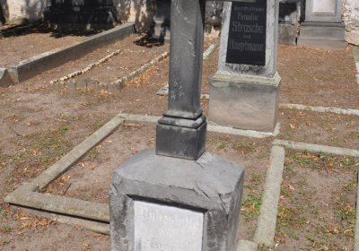 Mlékojedy, Omnium, 2020