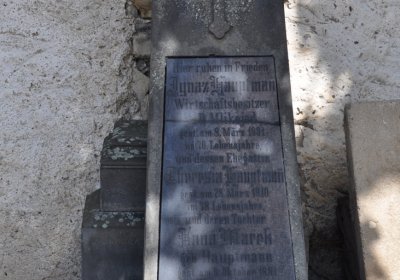 Mlékojedy, Omnium, 2020