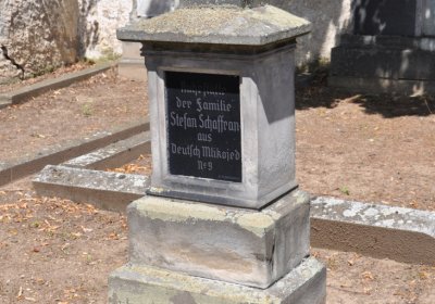 Mlékojedy, Omnium, 2020