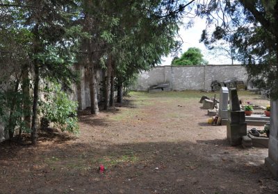 Mlékojedy, Omnium, 2020