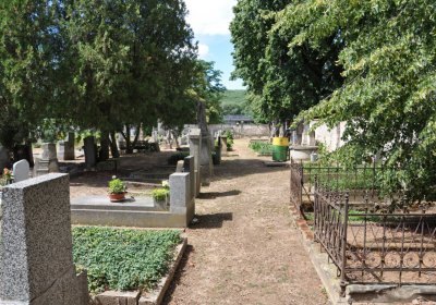 Mlékojedy, Omnium, 2020