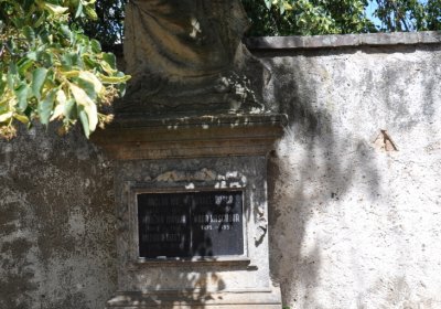 Mlékojedy, Omnium, 2020