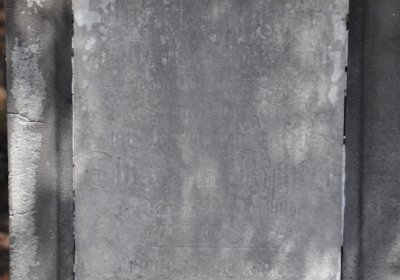 Mlékojedy, Omnium, 2020