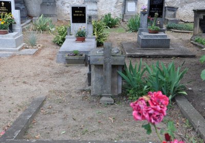 Mlékojedy, Omnium, 2020