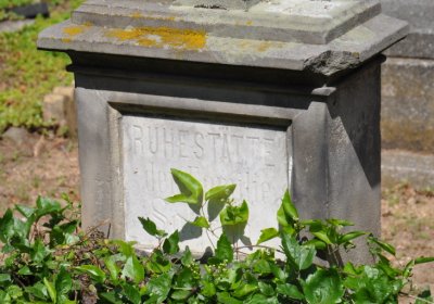 Mlékojedy, Omnium, 2020