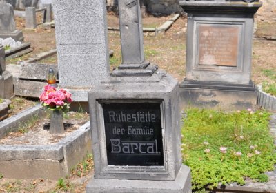 Mlékojedy, Omnium, 2020