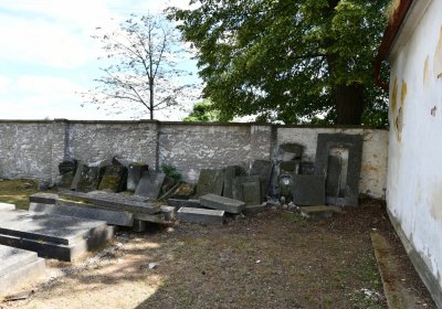 Mlékojedy, Omnium, 2020