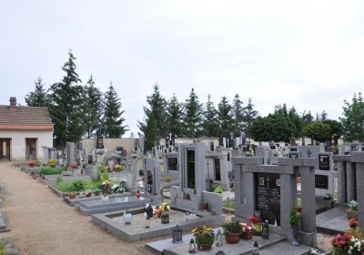 Račiněves, Omnium, 2020