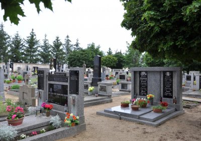 Račiněves, Omnium, 2020