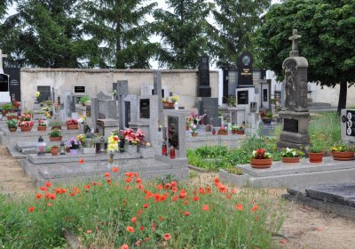 Račiněves, Omnium, 2020