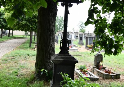 Račiněves, Omnium, 2020