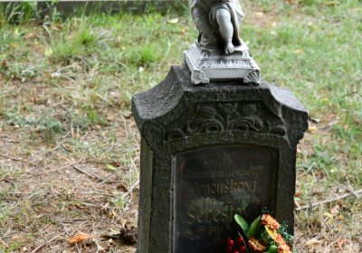 Račiněves, Omnium, 2020