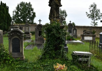 Račiněves, Omnium, 2020