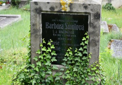 Račiněves, Omnium, 2020