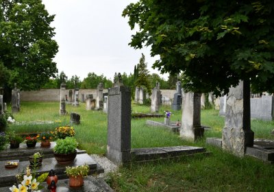 Račiněves, Omnium, 2020