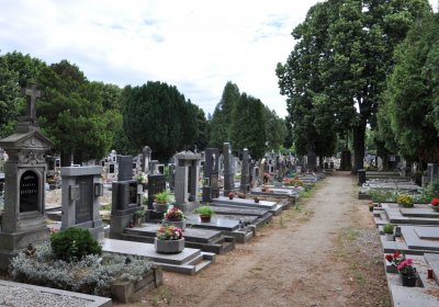 Roudnice nad Labem, Omnium, 2020