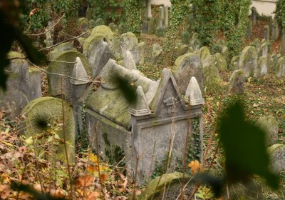 Roudnice nad Labem starý židovský hřbitov, Omnium, 2020