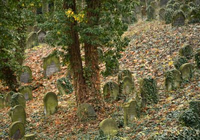 Roudnice nad Labem starý židovský hřbitov, Omnium, 2020