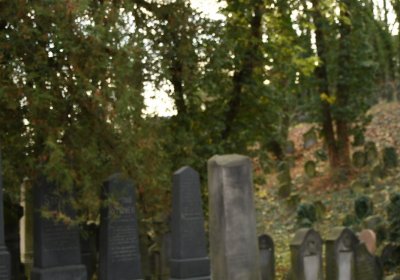 Roudnice nad Labem starý židovský hřbitov, Omnium, 2020