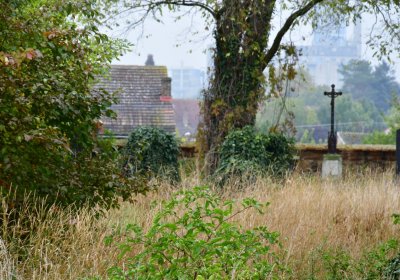 Sulejovice u kostela, Omnium, 2020