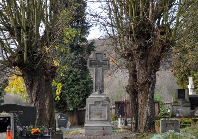 Třebušín, Omnium, 2020