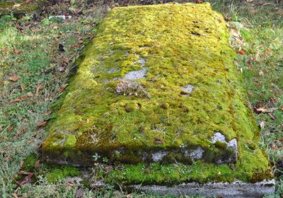 Třebušín, Omnium, 2020