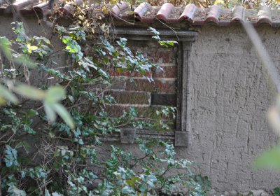 Třebušín, Omnium, 2020