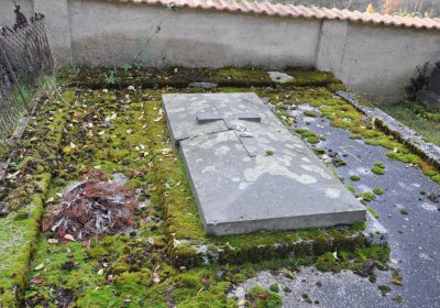 Třebušín, Omnium, 2020