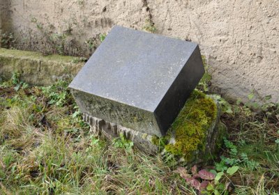 Třebušín, Omnium, 2020