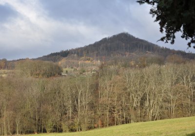 Třebušín, Omnium, 2020