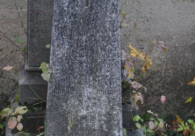 Třebušín, Omnium, 2020