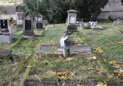 Třebušín, Omnium, 2020