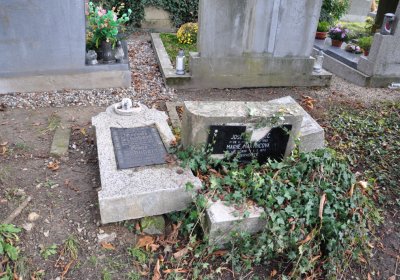 Třebušín, Omnium, 2020