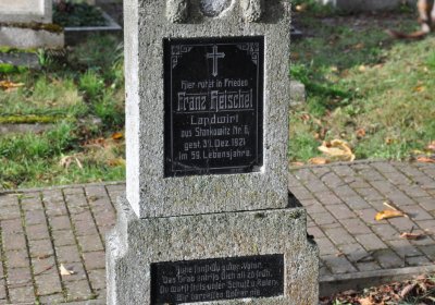 Třebušín, Omnium, 2020