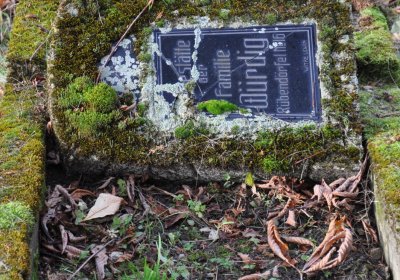 Třebušín, Omnium, 2020