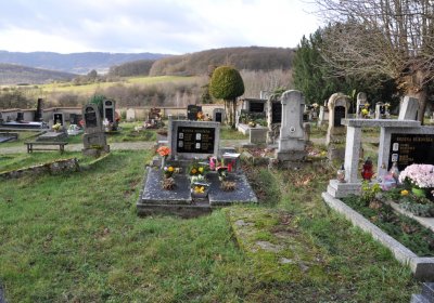 Třebušín, Omnium, 2020