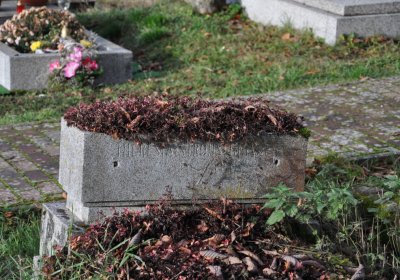 Třebušín, Omnium, 2020