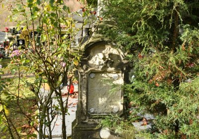 Třebušín, Omnium, 2020