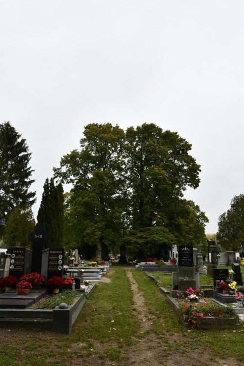 Žitenice