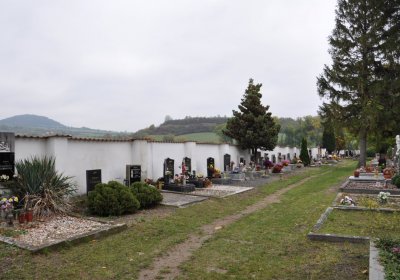 Žitenice, Omnium, 2020